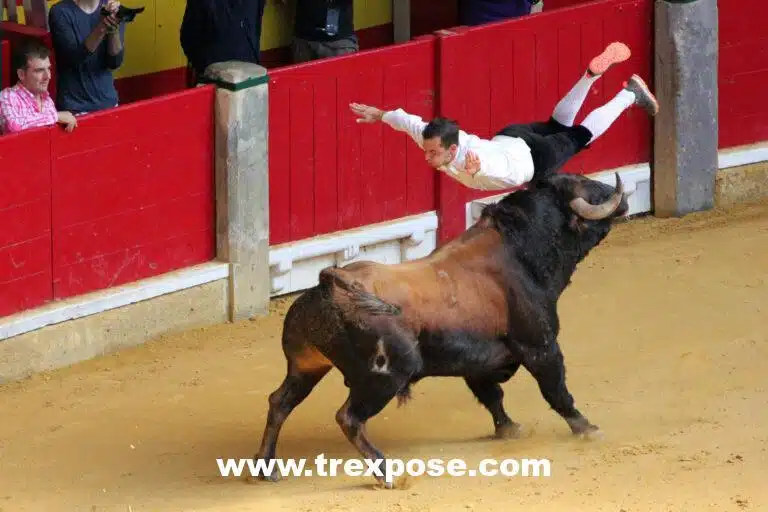 Campeanato Nacional de Recortadores (National Bull Jumping Championship) during the Fiestas del Pilar, Zaragoza, Spain