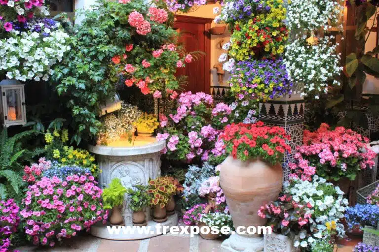 Cordoba Festival of the Patios