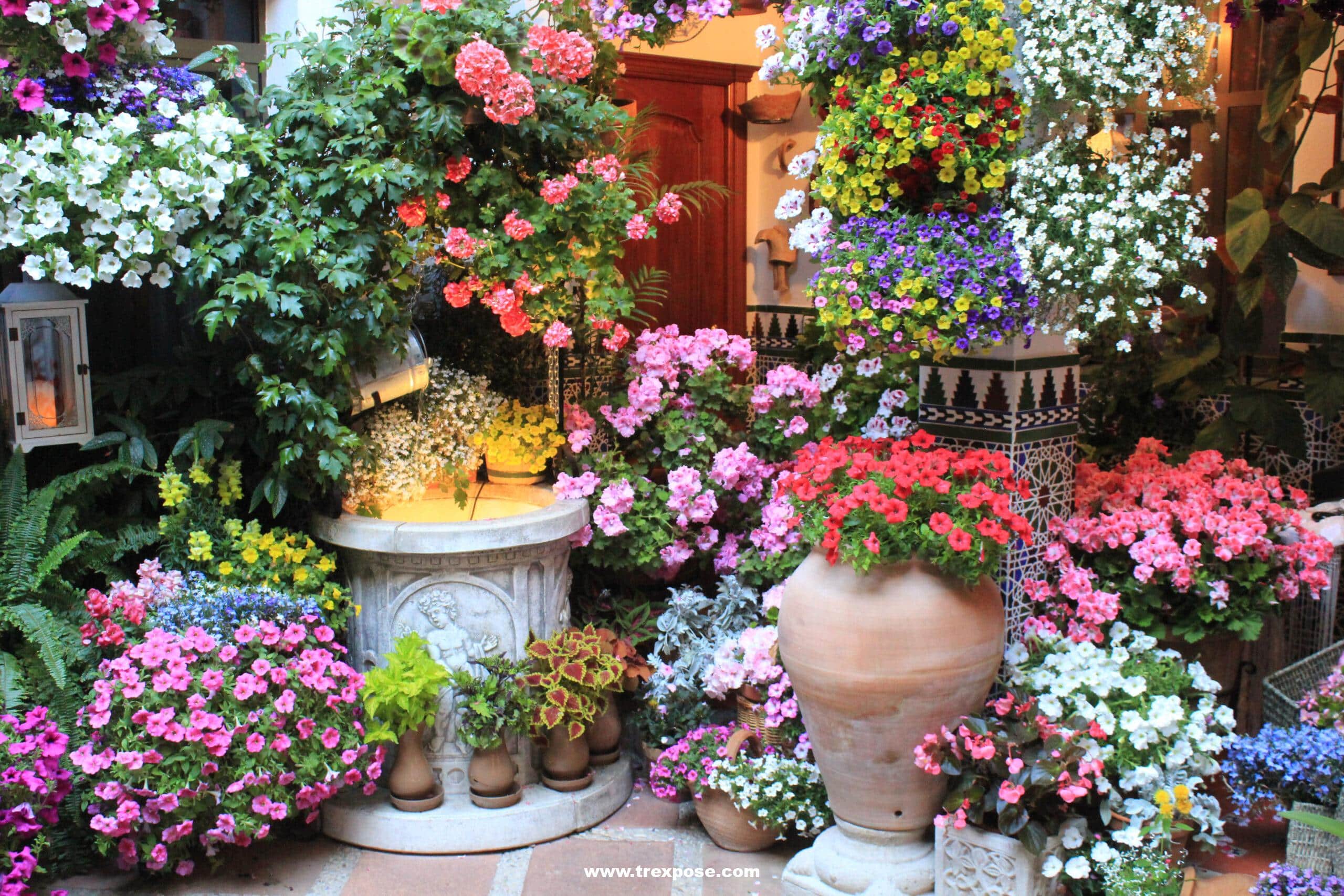 Cordoba Festival of the Patios